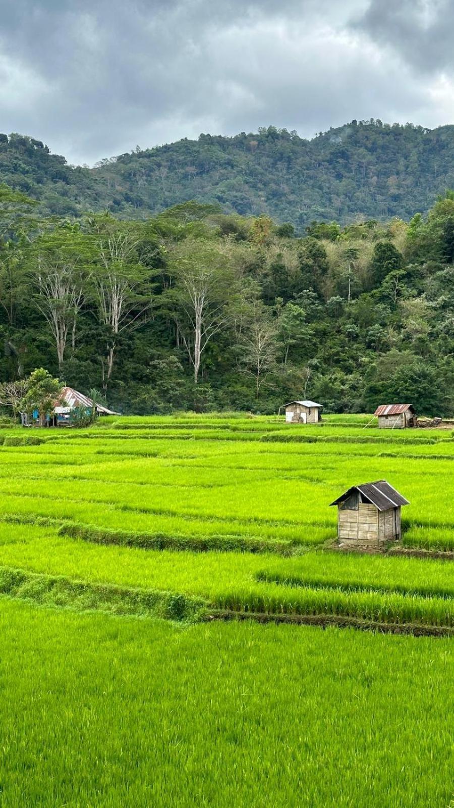 Petra Homestay Bangka Leda 鲁滕 外观 照片