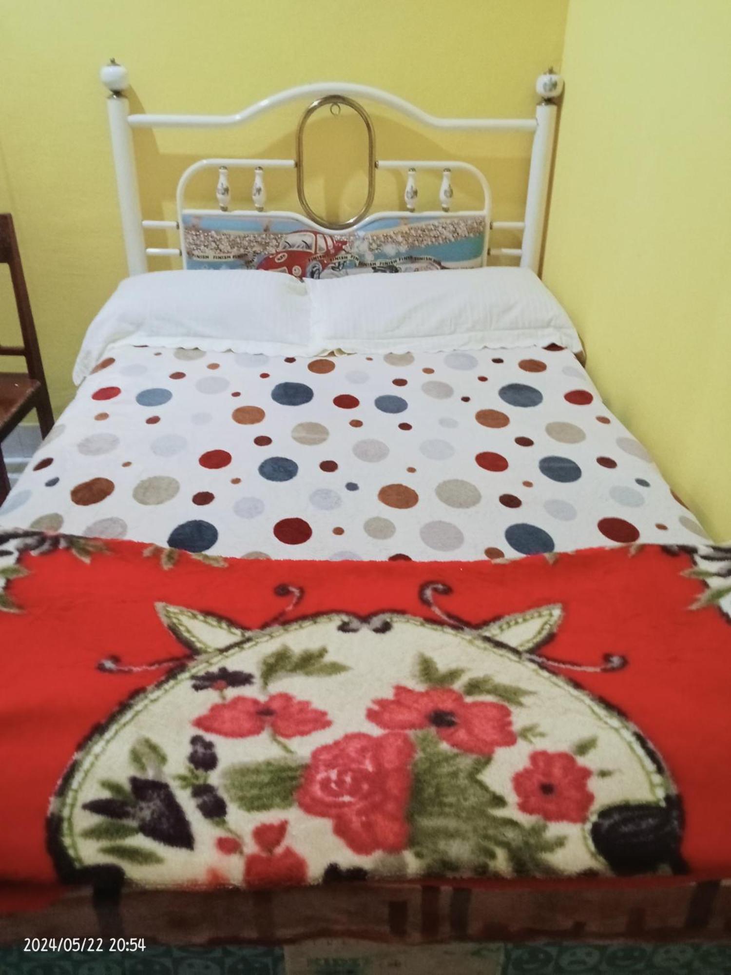 Petra Homestay Bangka Leda 鲁滕 外观 照片